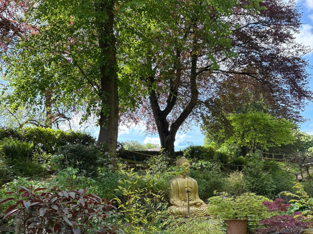 Cascades Gardens-Bonsall必去景点