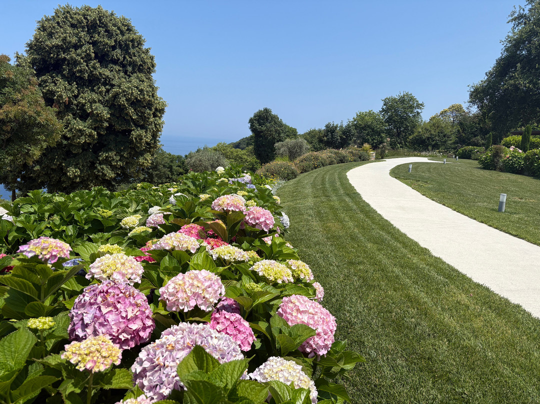 Tilia Resort
