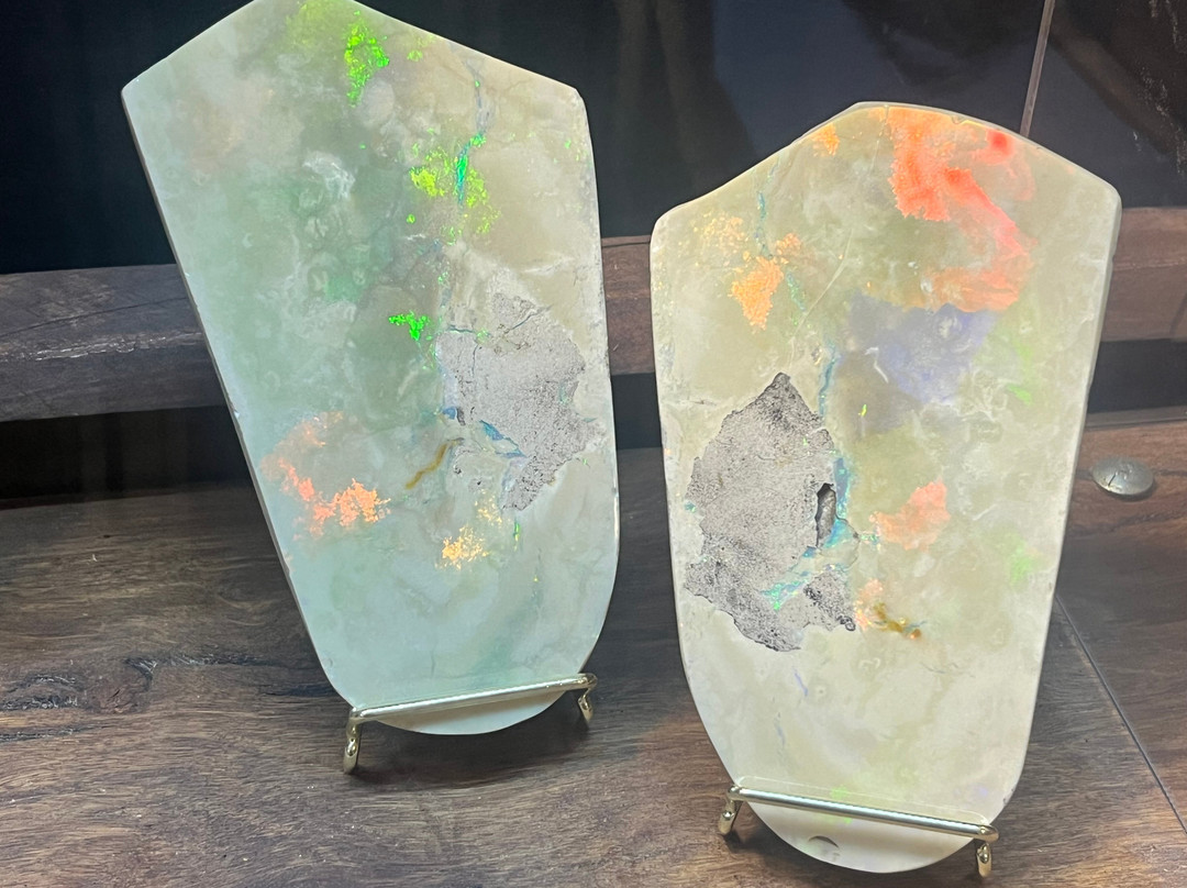 Opal Museum-布里斯班必去景点