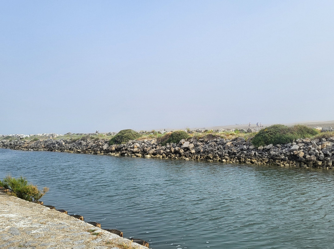 Plage du Grazel - Gruissan-Gruissan必去景点