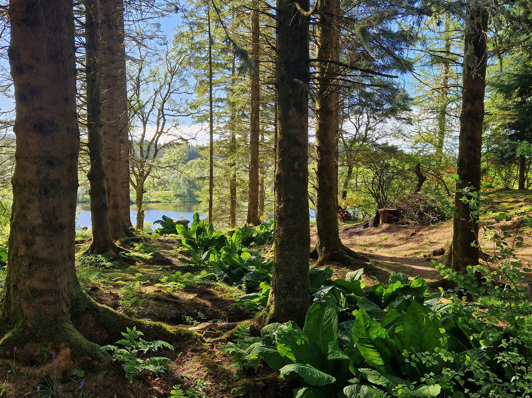Angus's Garden, Barguillean-Taynuilt必去景点