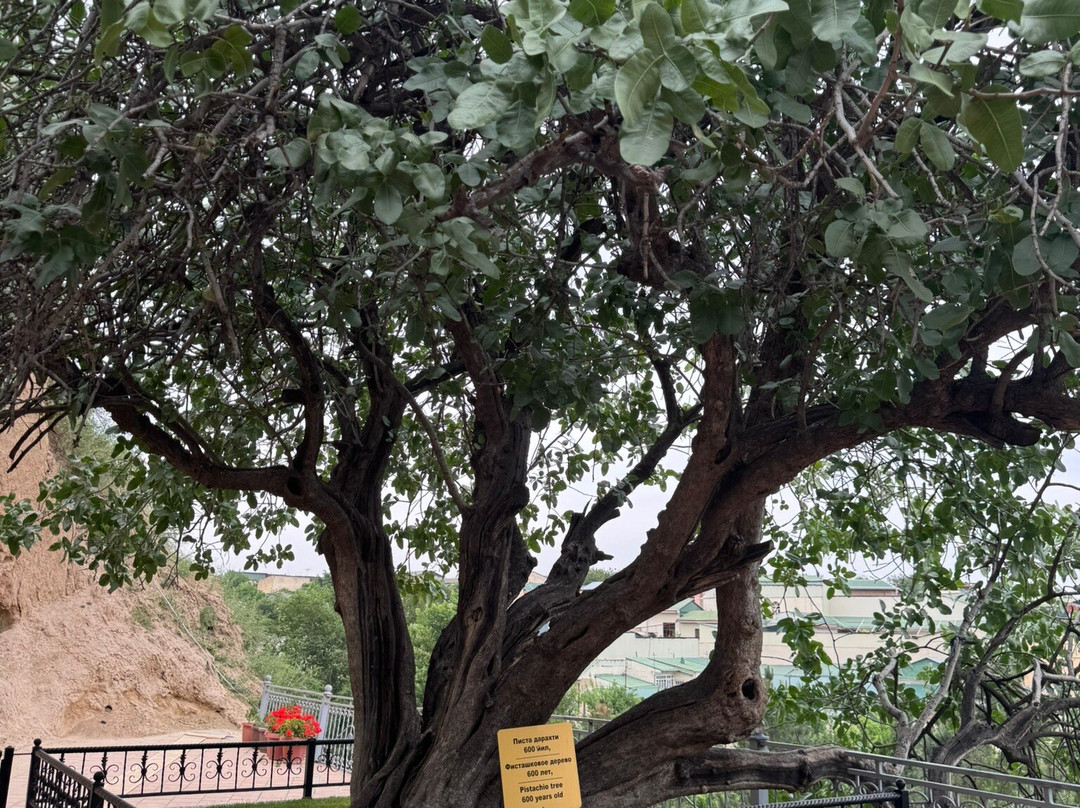 Saint Daniel's Tomb-撒马尔罕必去景点