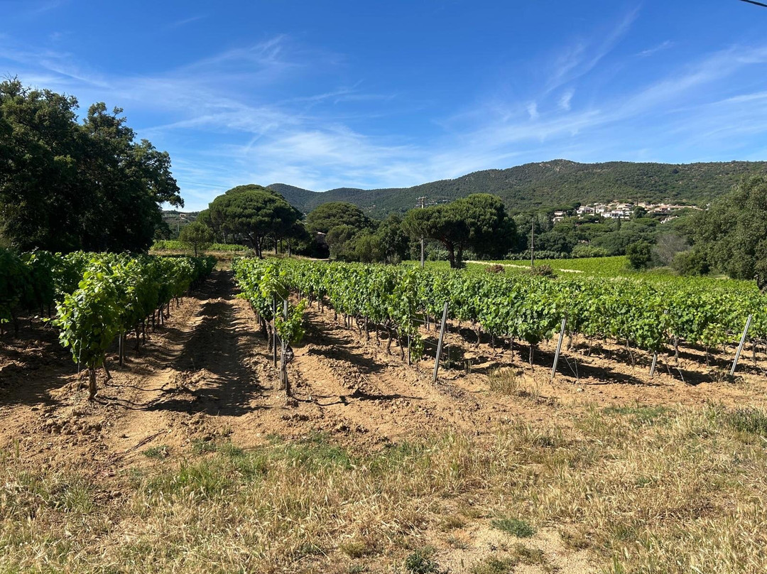 Le Clos De Sainte Maxime-圣马克西姆必去景点