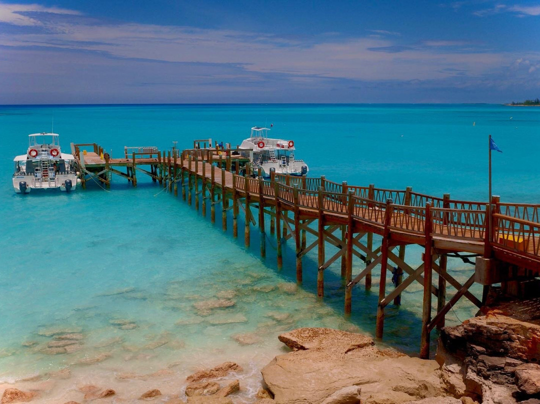 Only Blue Diving Dreams-Cockburn Town必去景点