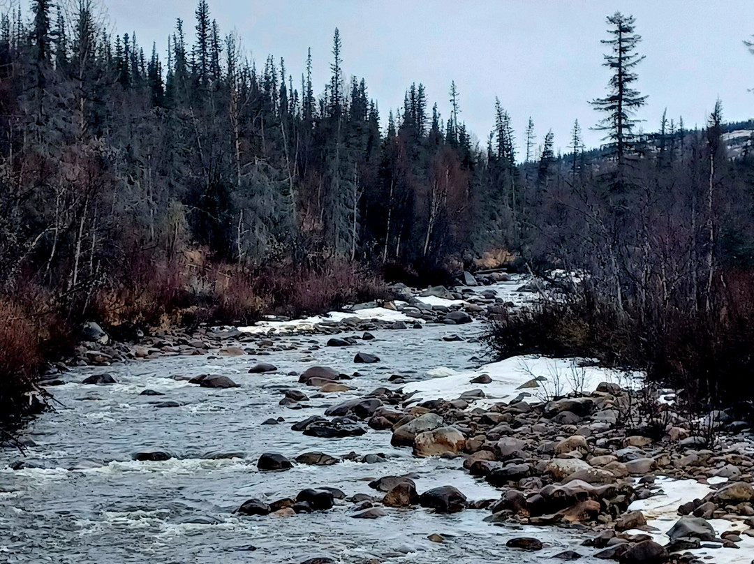Snowhook Adventure Guides of Alaska-Willow必去景点