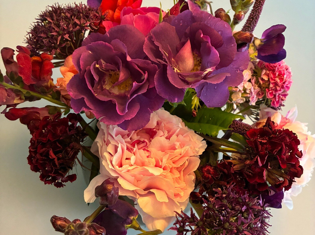 Snijbloemen Pluktuin Bakkum-Egmond-Binnen必去景点