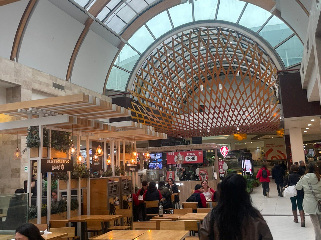 Mall Plaza Trebol-康塞普西翁必去景点