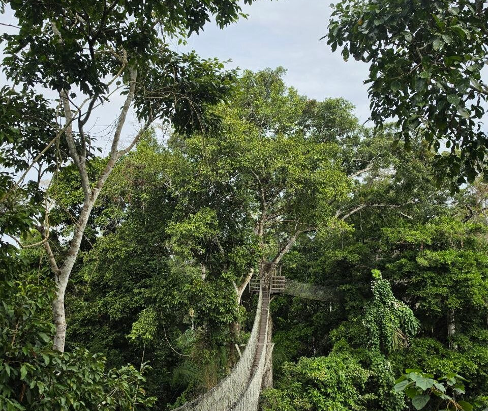 Auri Peru Travel-库斯科必去景点