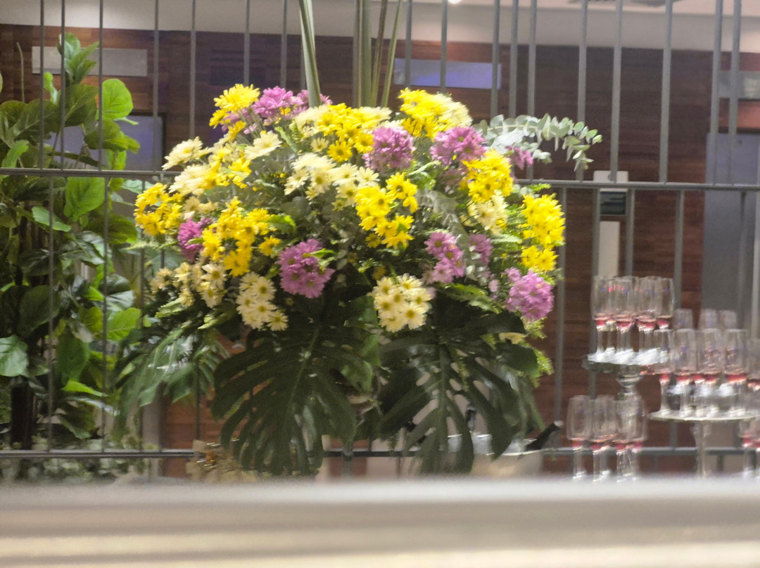 库亚巴德维尔高级酒店主图