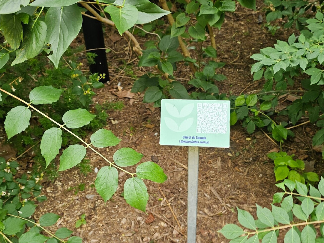 Parc Charras-Courbevoie必去景点