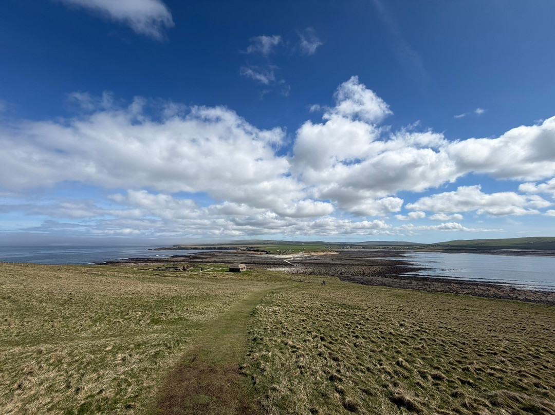 Brough Of Birsay-Birsay必去景点