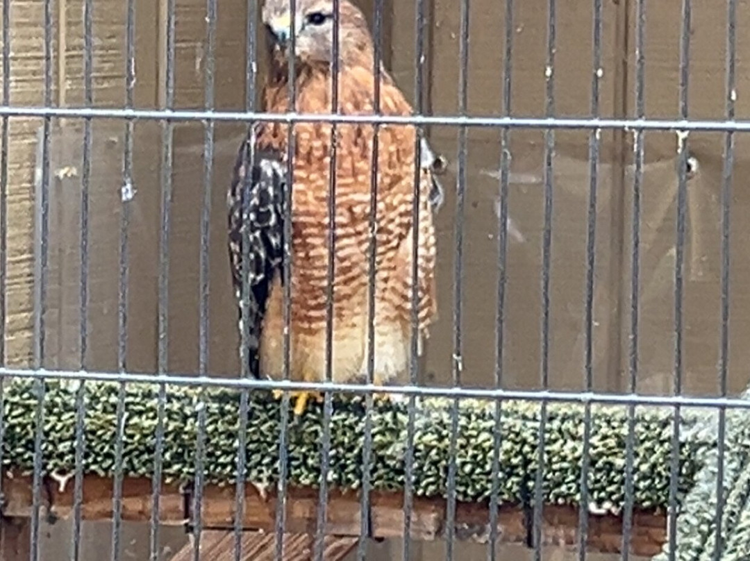 World Bird Sanctuary-Valley Park必去景点