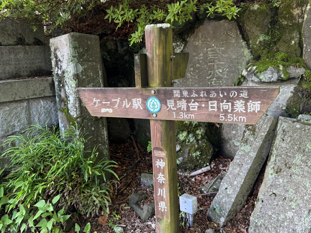 Isehara City Sports Park-伊势原市必去景点