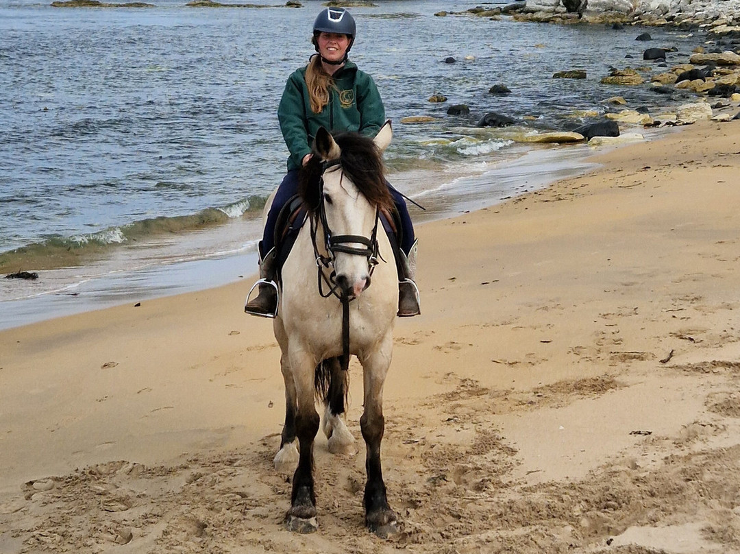 Bespoke Equestrian Ireland-都柏林必去景点