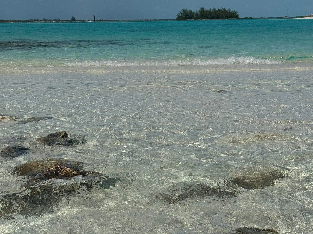 Paradise Luxury Charters-Turtle Cove必去景点
