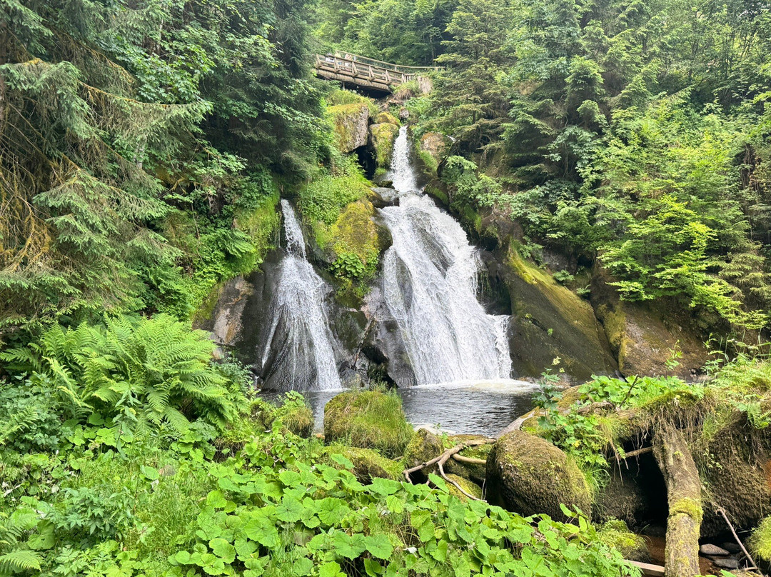 Triberger Waterfall-特里贝格必去景点