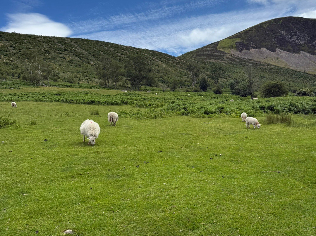 Aber Falls-Abergwyngregyn必去景点