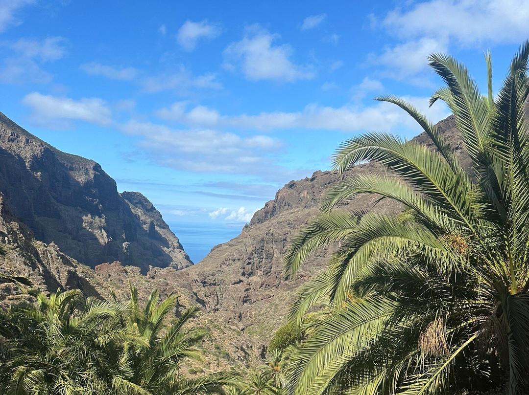 Masca Valley-特纳里夫必去景点