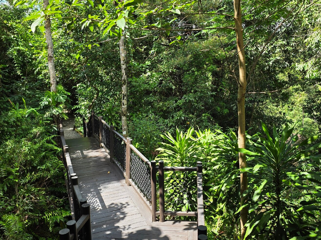 Shinta Mani Wild主图