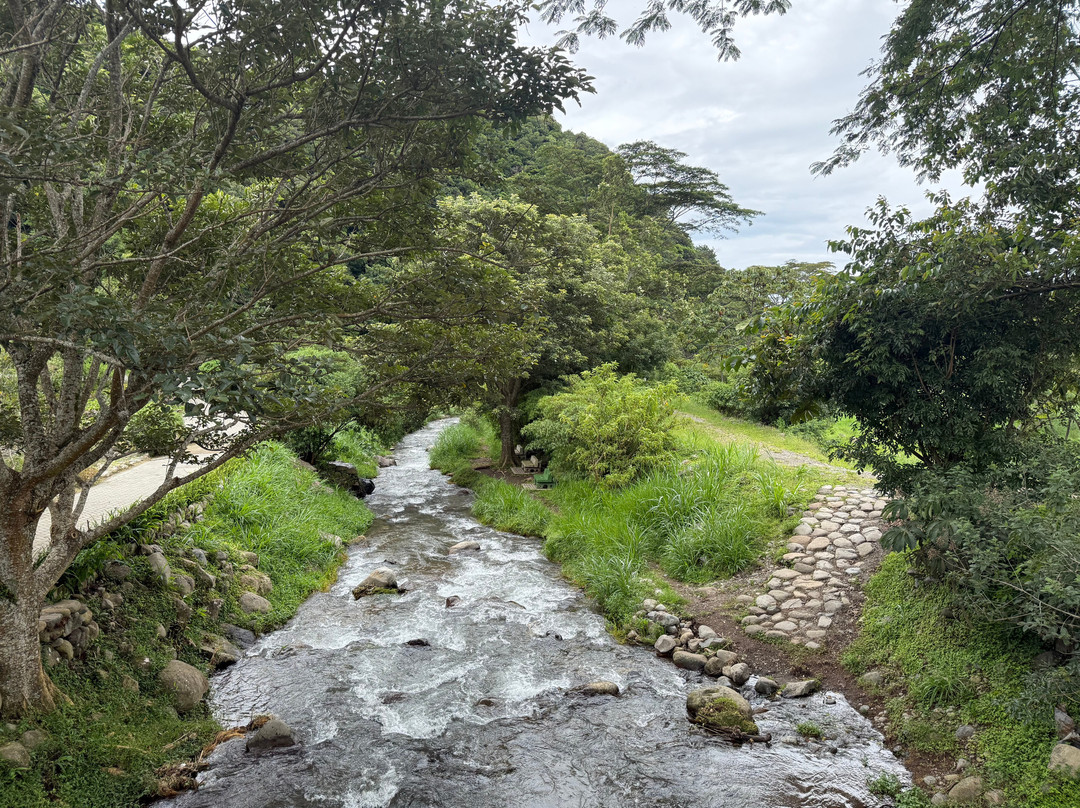 Retire in Panama Tours | Move to Panama | Panama Relocation Experts-波魁特必去景点
