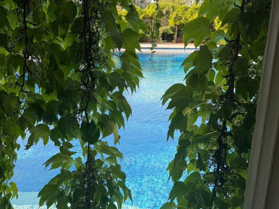 L'Albarda Garden-Pedreguer必去景点