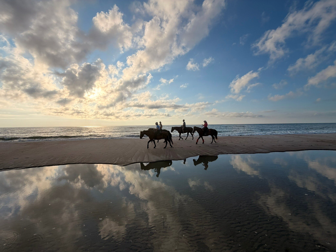 Amelia Island Horseback Riding-费尔南迪纳岛必去景点