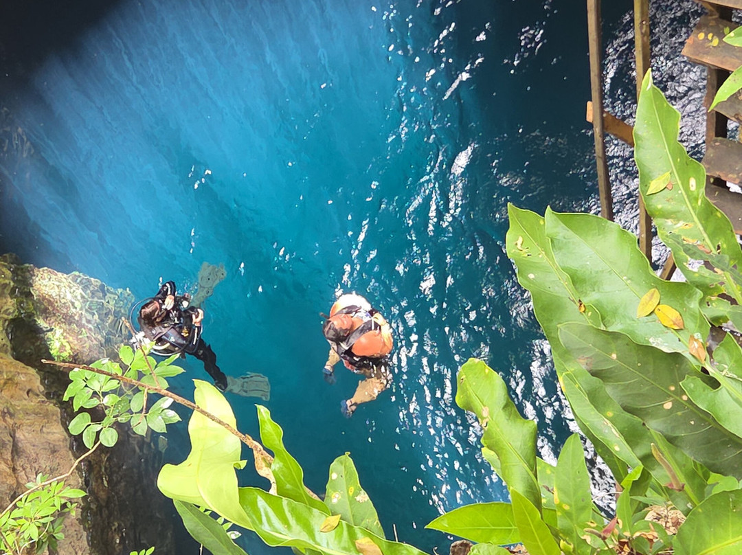 YucatanCenote .com Eco-Adventures-Progreso必去景点