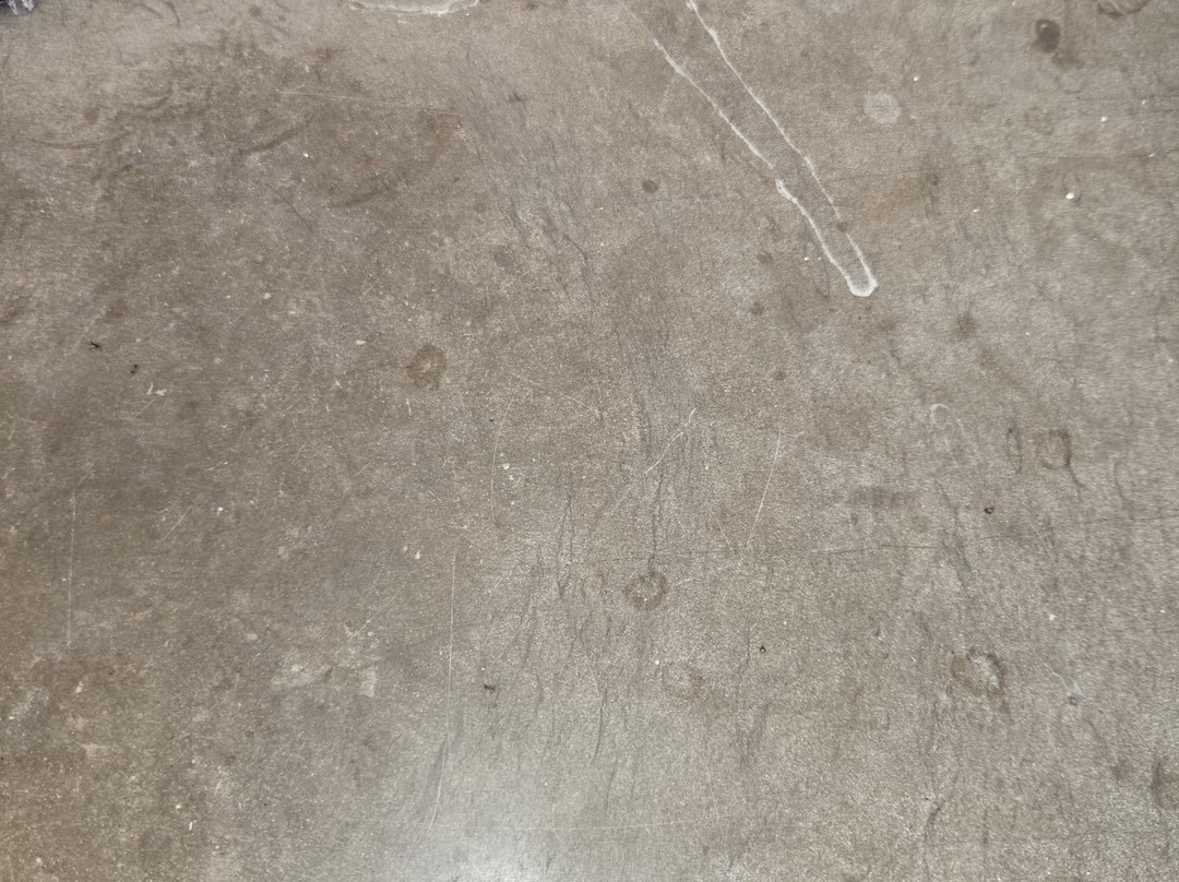 哈马马特总统金郁金香酒店主图