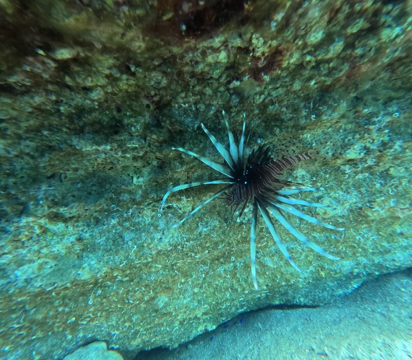 Arian Diving Centre-卡达米那必去景点