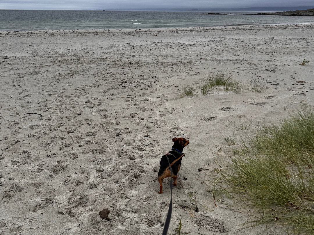Kilmory Beach-Lochgilphead必去景点