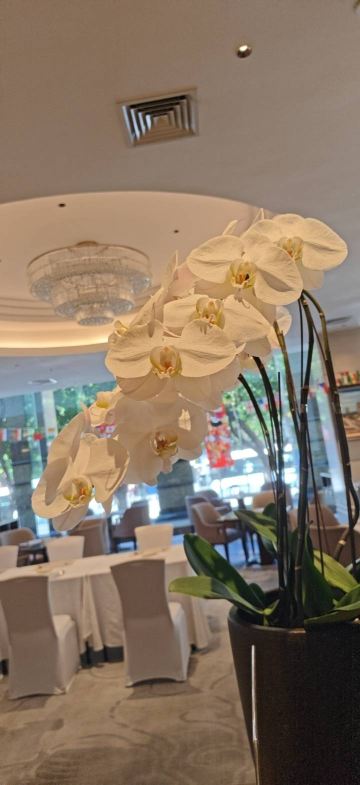 泉州悦华酒店-旅行者