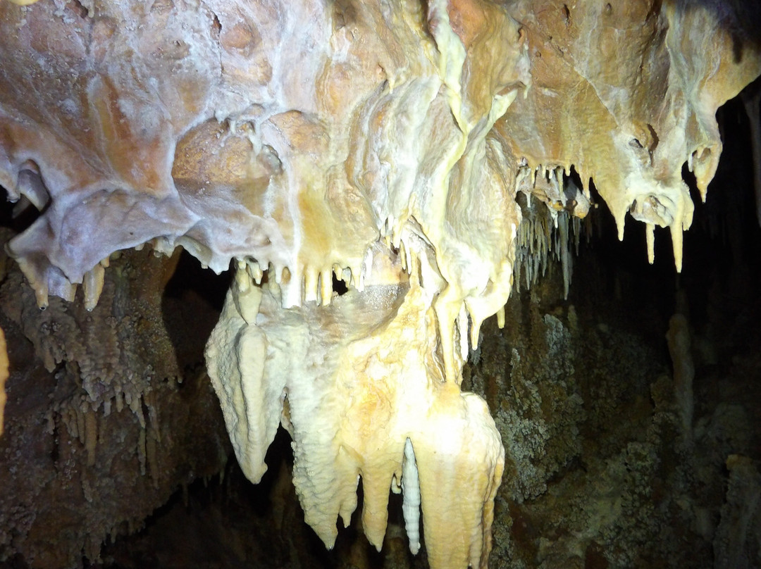 Aven Grotte Forestière-Orgnac-l'Aven必去景点
