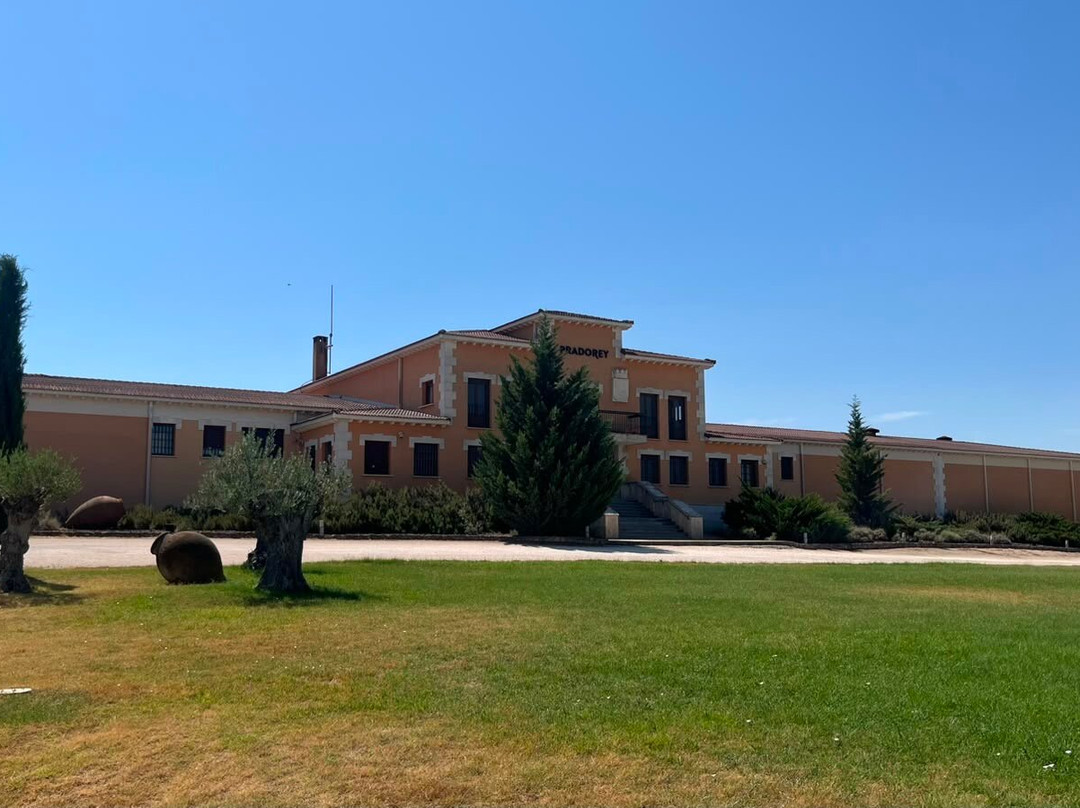 Bodegas Y Vinedos PradoRey-Gumiel Del Mercado必去景点