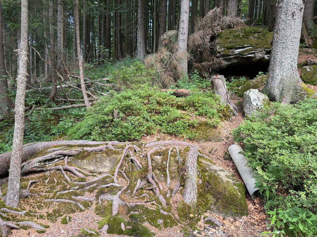 Arbersee-Bayerisch Eisenstein必去景点