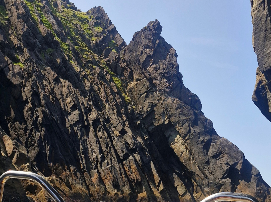 Fenit Sea Safari-Fenit必去景点