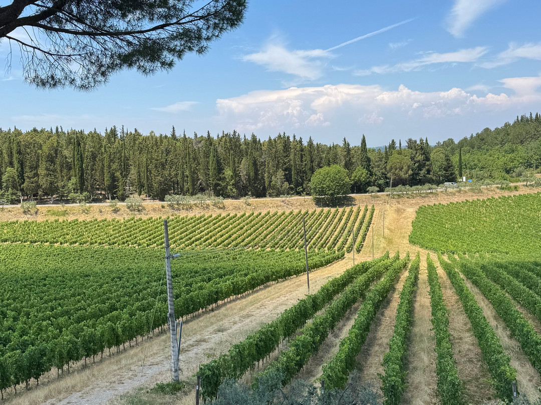 Scenic wine tours in Tuscany-Loro Ciuffenna必去景点