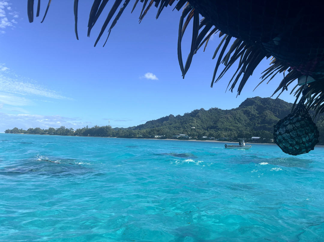 Koka Lagoon Cruises-穆里必去景点