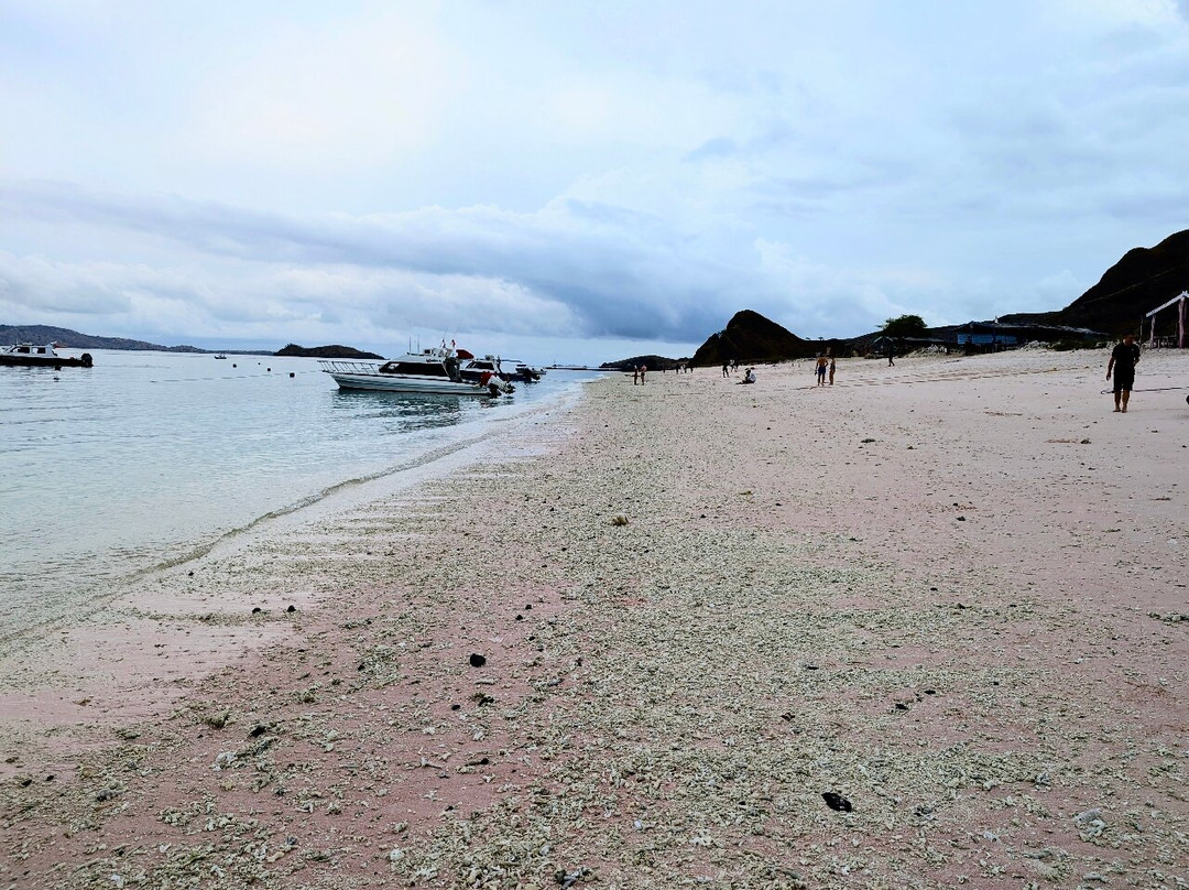 Pink Beach-科莫多必去景点