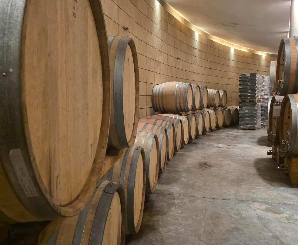 San Polo Montalcino-蒙塔尔奇诺必去景点