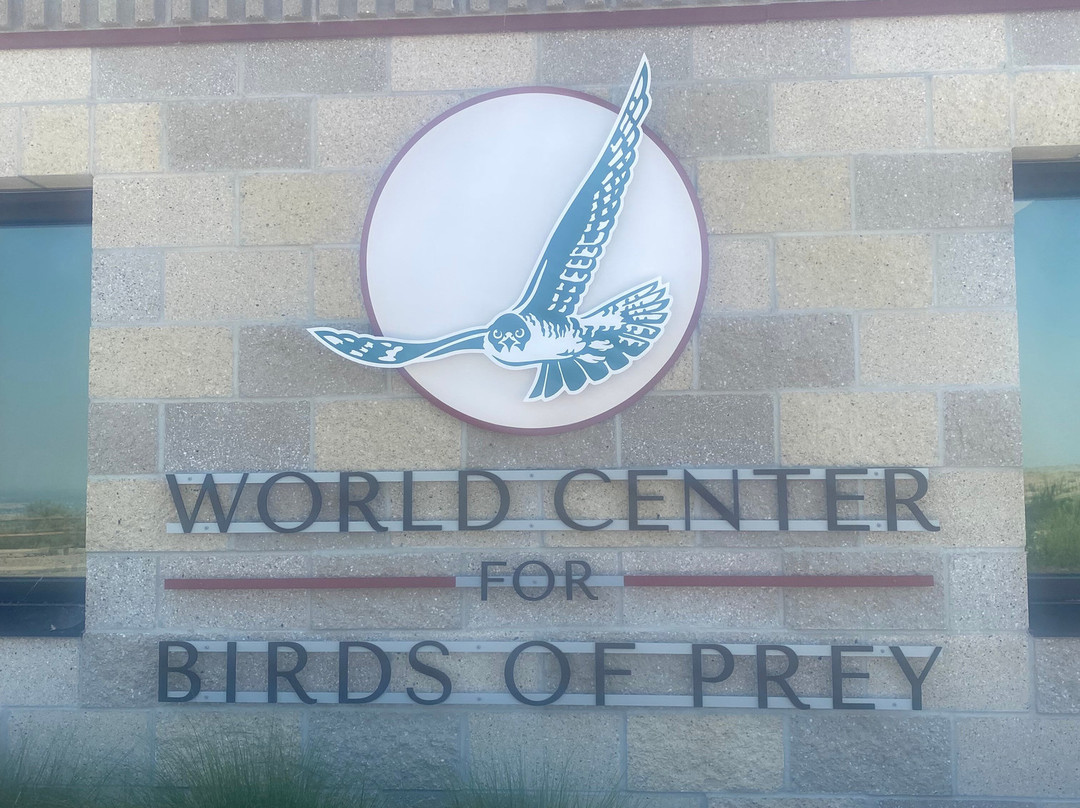 World Center For Birds of Prey-博伊西必去景点