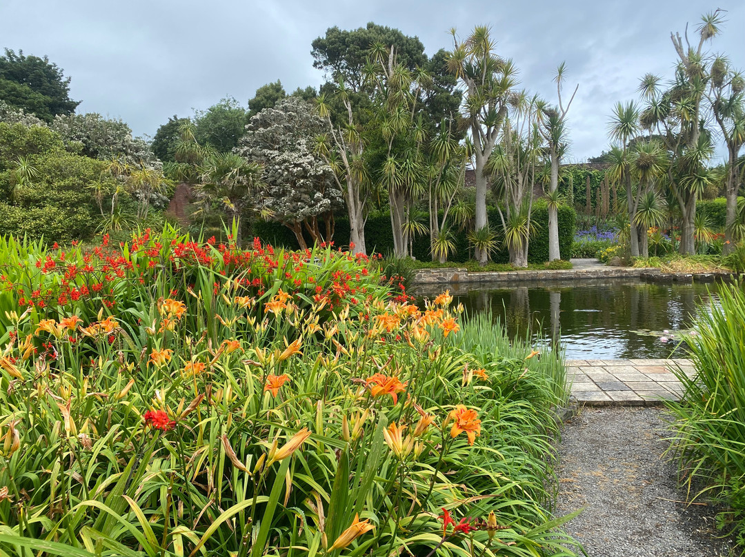 Logan Botanic Garden-Port Logan必去景点