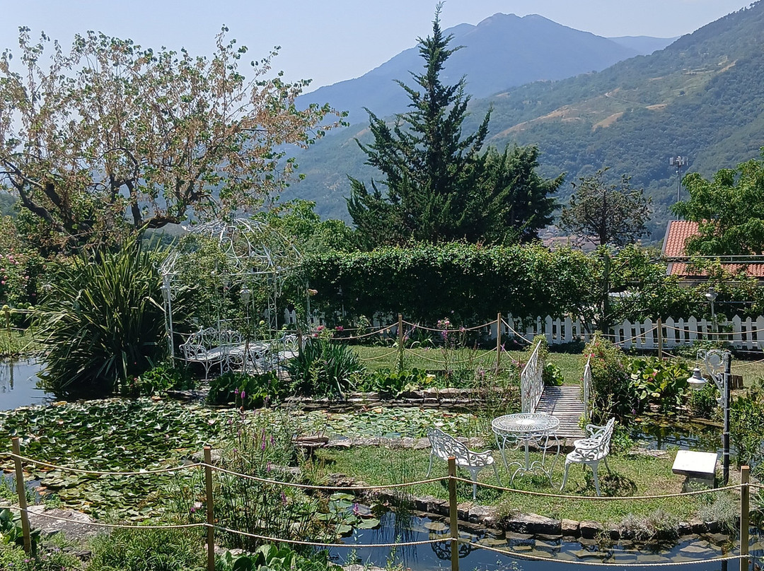 La Casa di Mimma主图