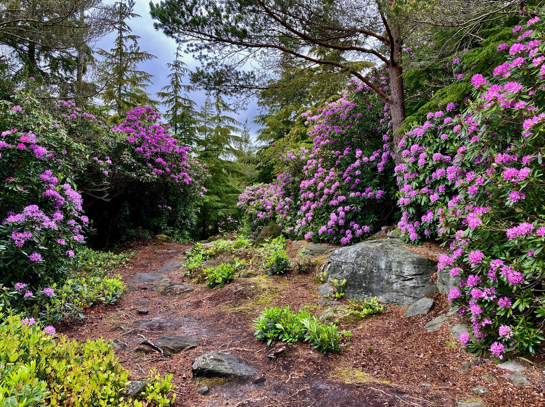 Cragside House and Gardens-Rothbury必去景点