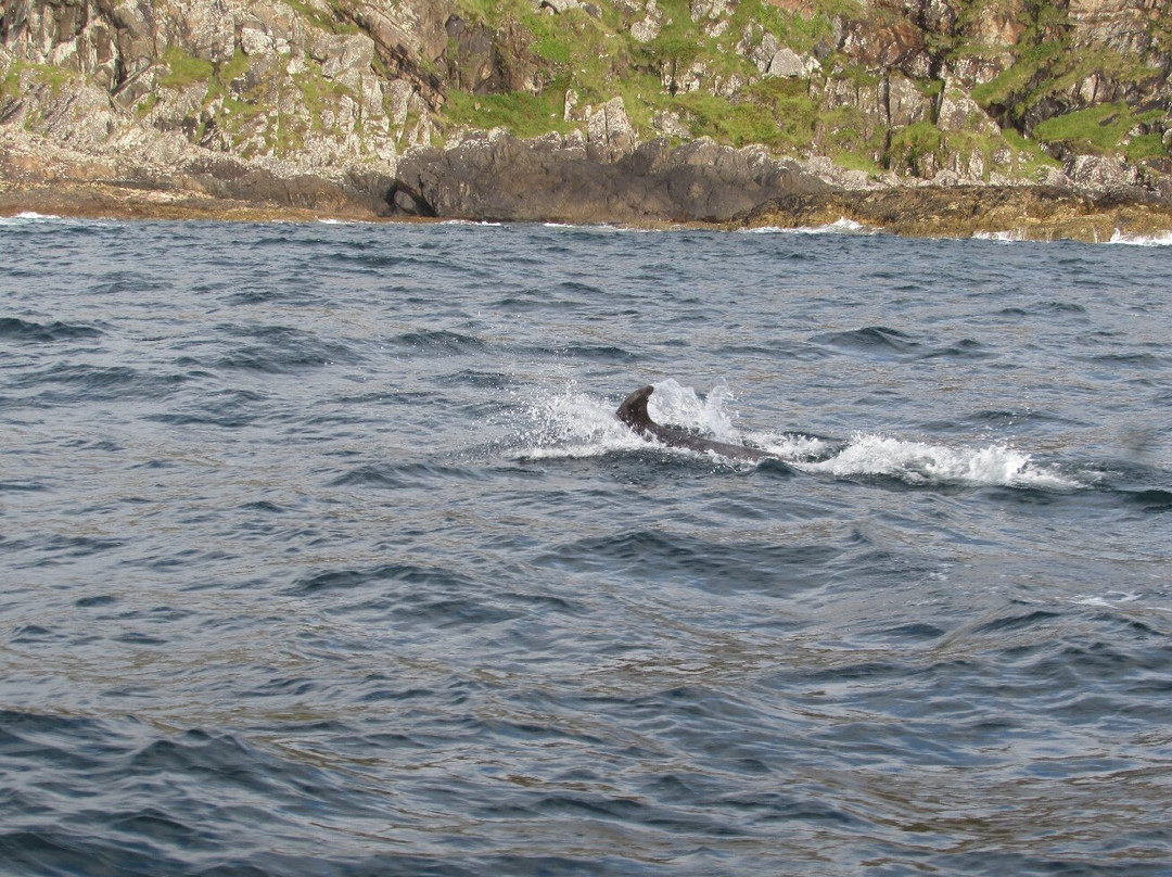 Seafari Adventures (Oban)-Ellenabeich必去景点