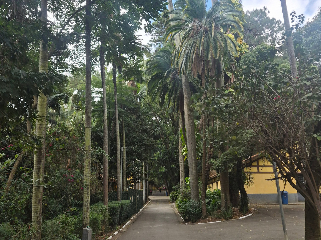 Parque Da Água Branca-圣保罗必去景点