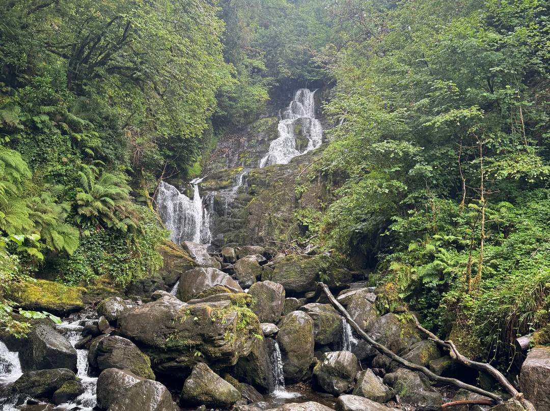 Torc Waterfall-基拉尼必去景点