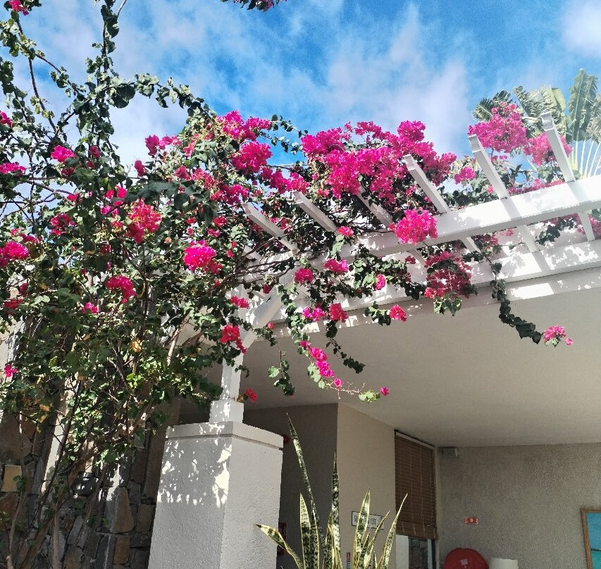 棉花湾酒店主图