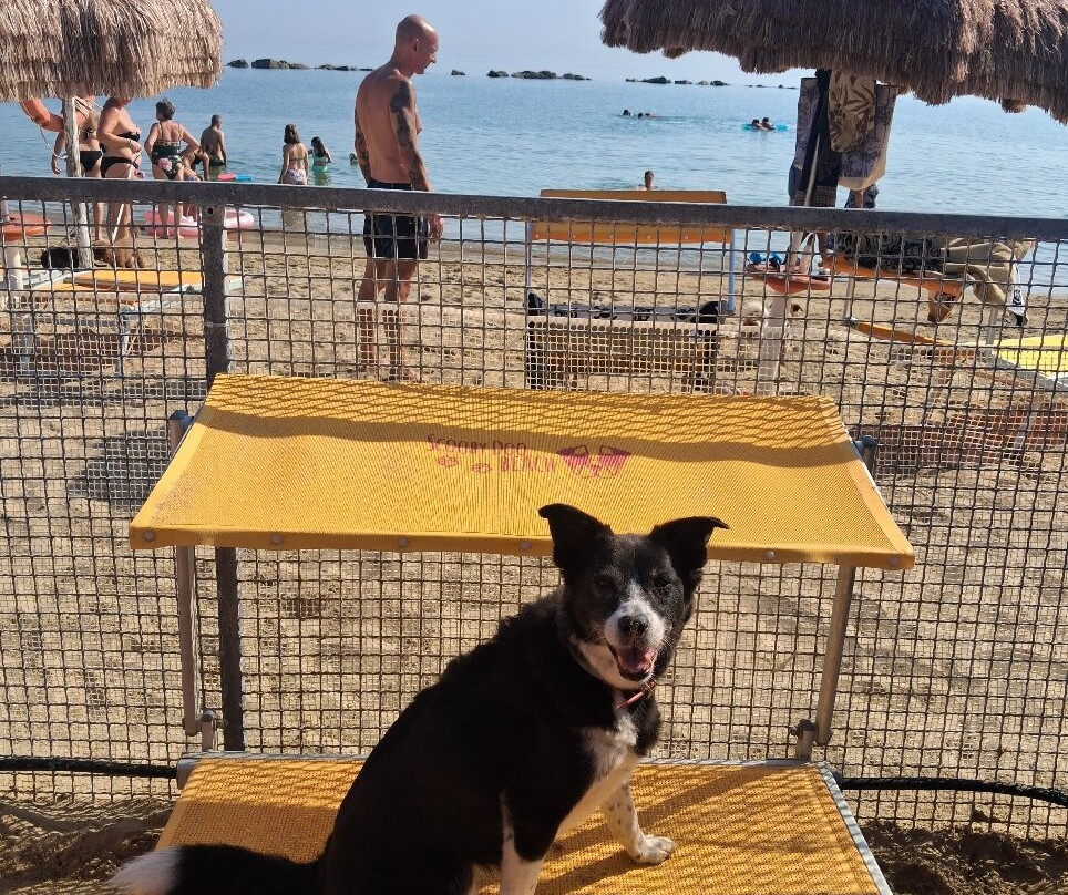 Scoobydoo Beach-Campomarino Lido必去景点