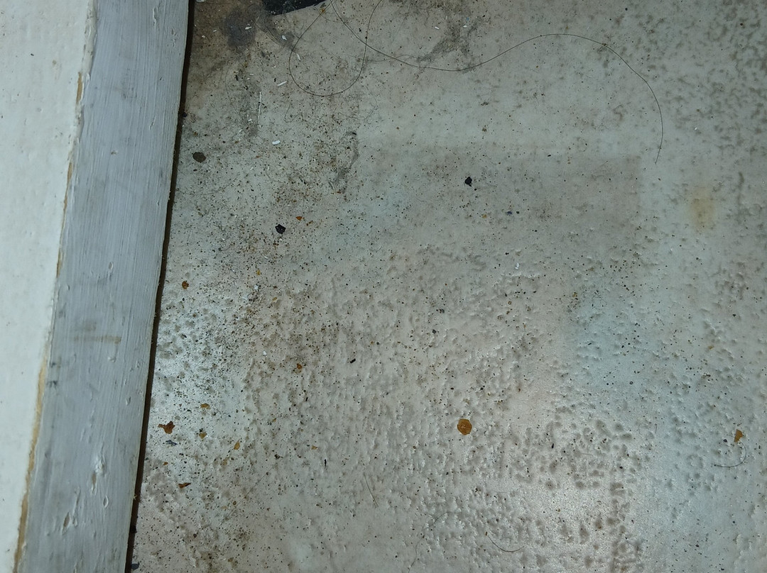 小木屋酒店主图