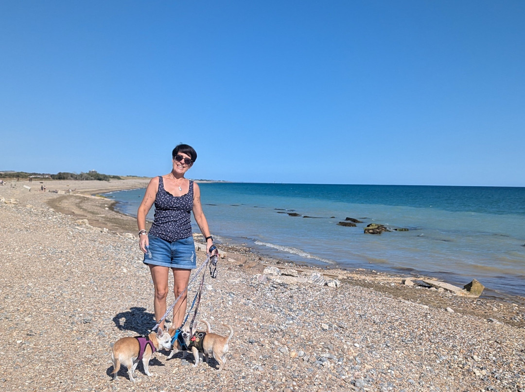 Climping Beach
